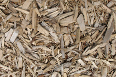 biomass boilers Kinnauld